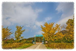 아미산
