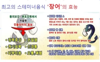 장어 효능 장어와 상극인 음식 건강 상식_10