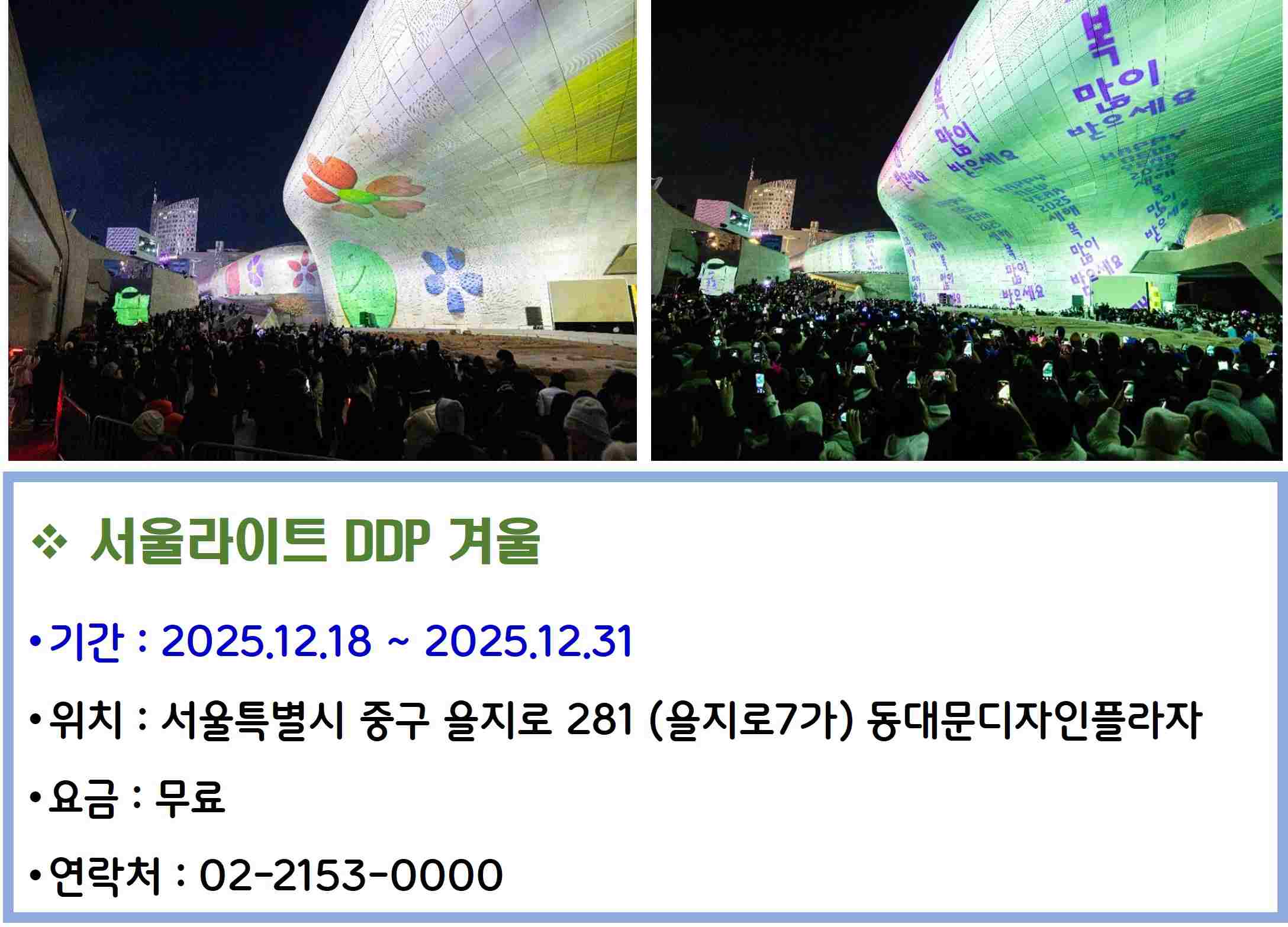 서울라이트 DDP 겨울