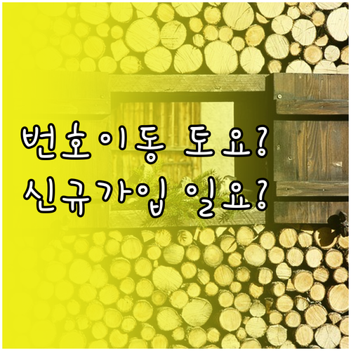 토요일은 번호이동 가능 일요일은 신규..