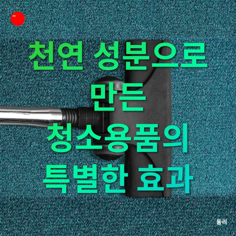 천연 청소용품_1