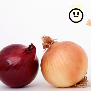 신장에 좋은 음식