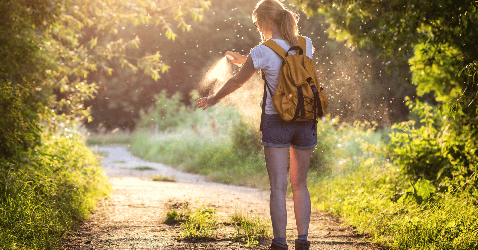 진드기물린후증상