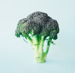 신장에 좋은 음식과 나쁜 음식