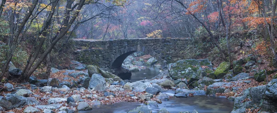 2023-๊ฐ์-๋จํ-์ฌํ-์ถ์ฒ-์์ฒ์ ์์ฌ