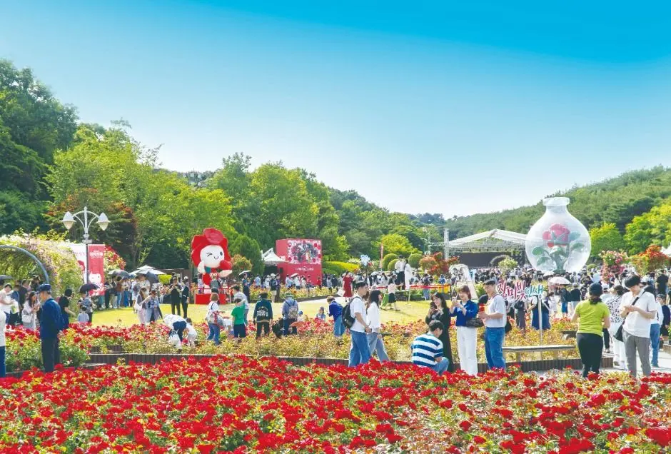 울산대공원 장미축제