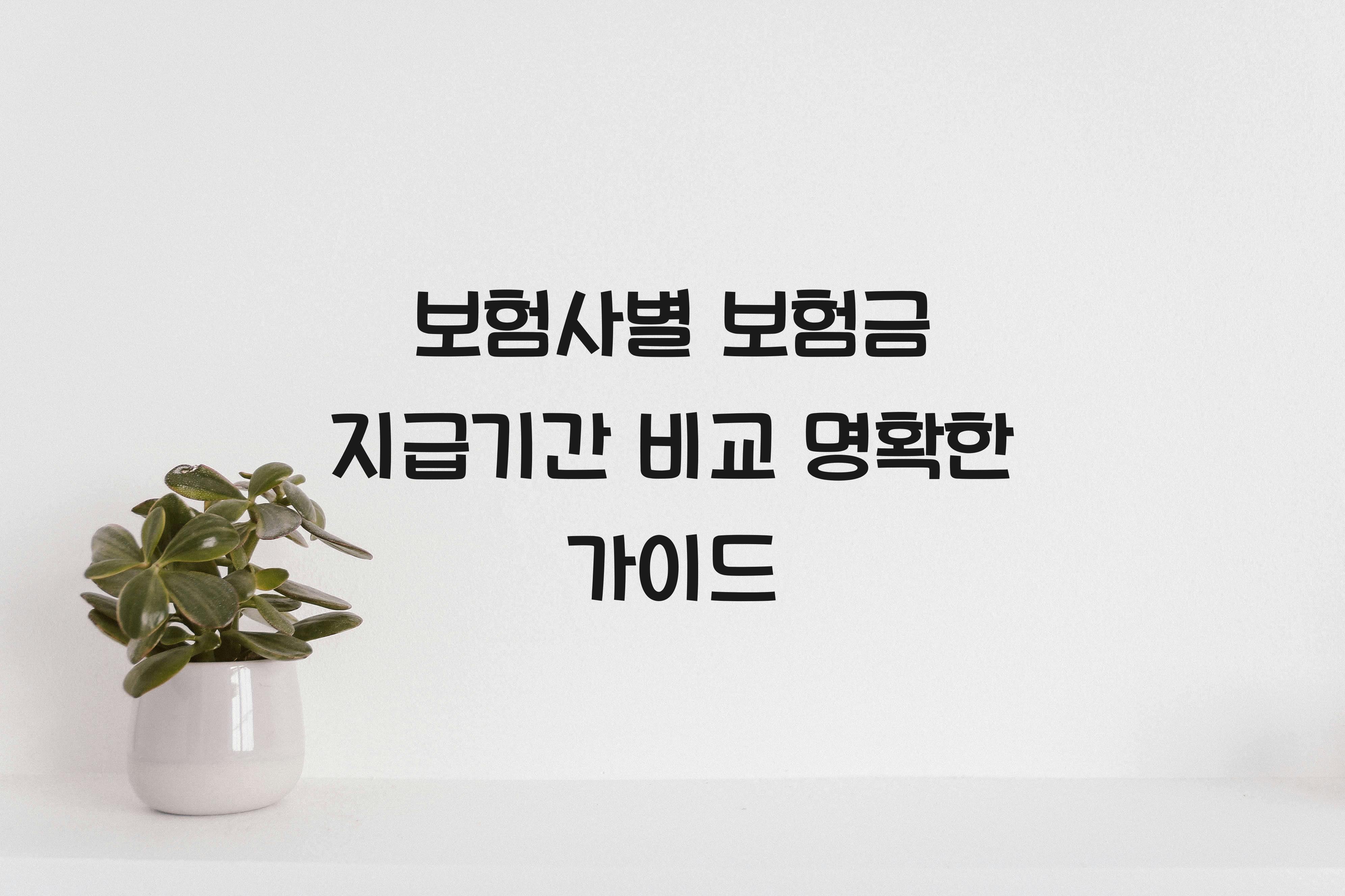 보험사별 보험금 지급기간 비교