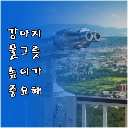 반려견 건강을 위한 물그릇 선택: 높..