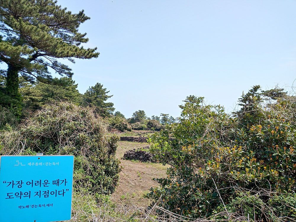 걷는독서 박노해