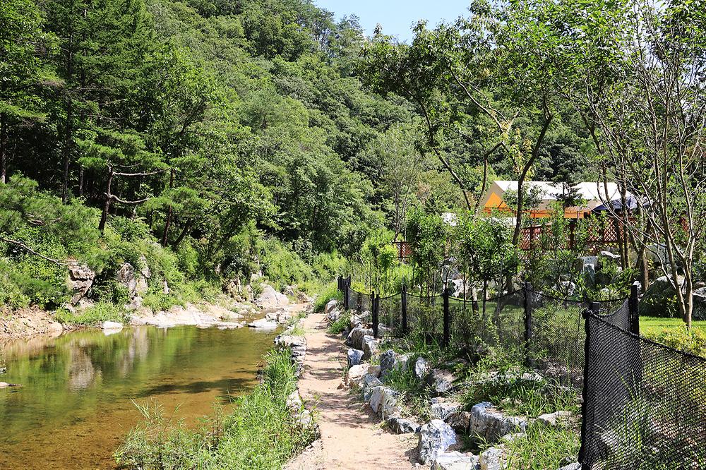 반려견과 함께, 그자리 야영장 소개