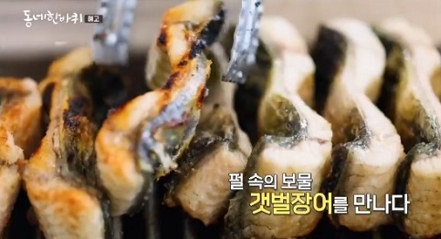 갯벌장어