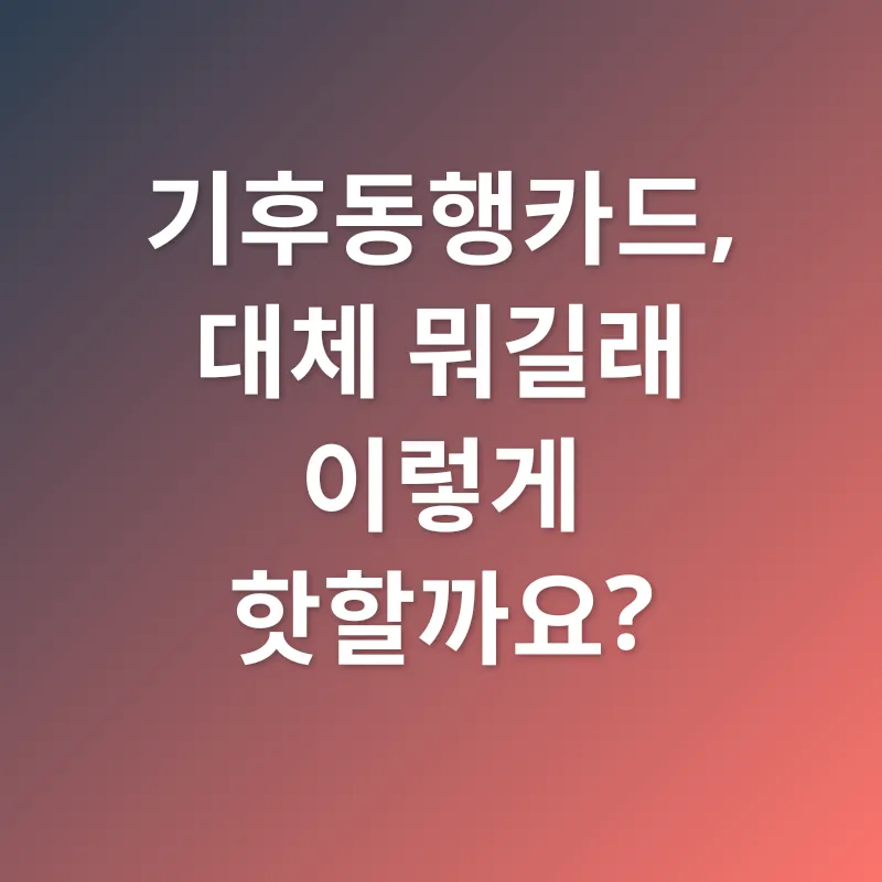기후동행카드_1