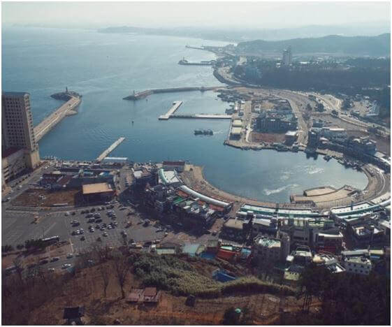 대포항