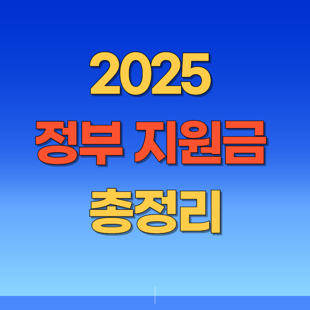 2025 정부 지원금 총정리