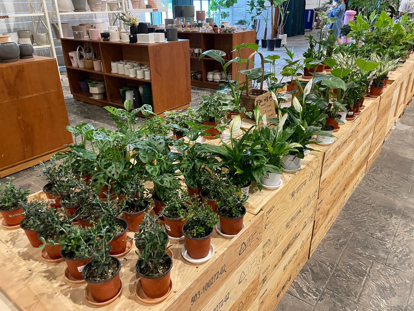 용인 식물원 베이커리 카페 어반리프