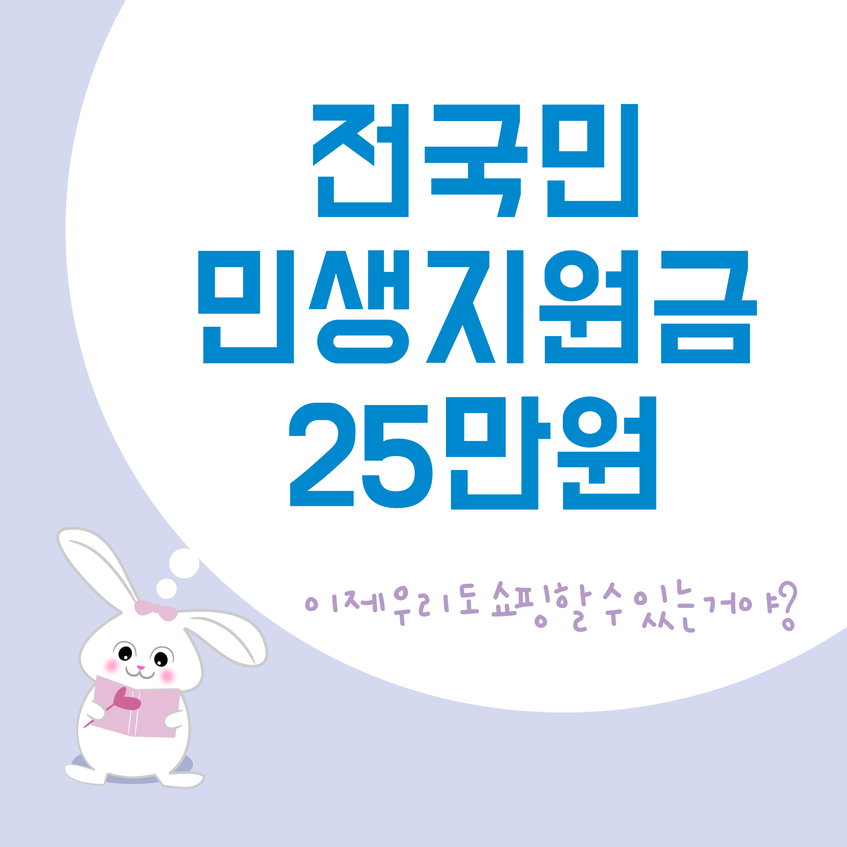 민생지원금 내란회복지원금