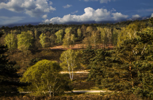 지도에서 지워진 행정구역 – 통합되고 흡수된 동네의 정체성에 대하여