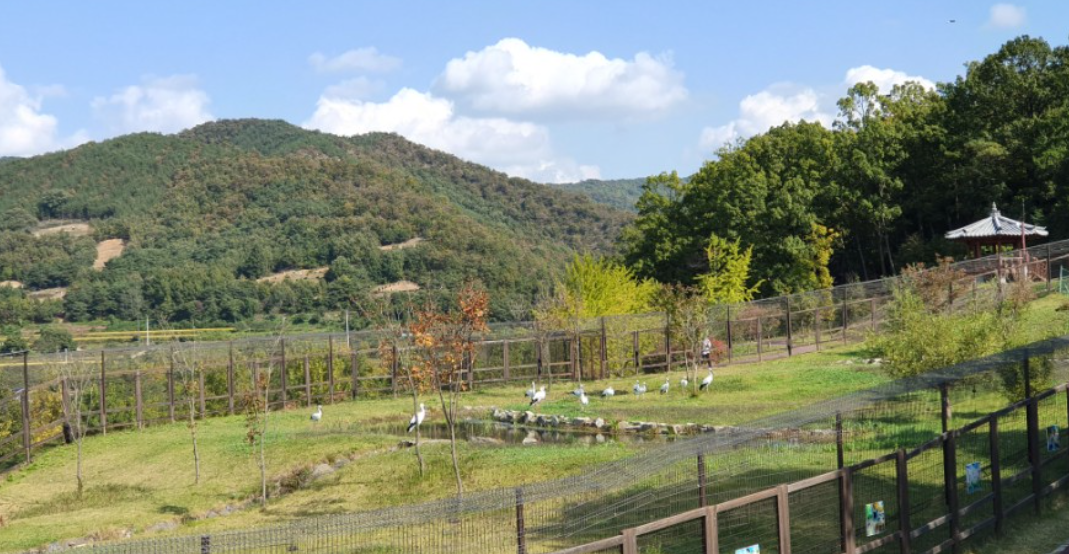 예산 황새공원