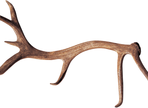 침향환 효능와 장점을 알수 있나?