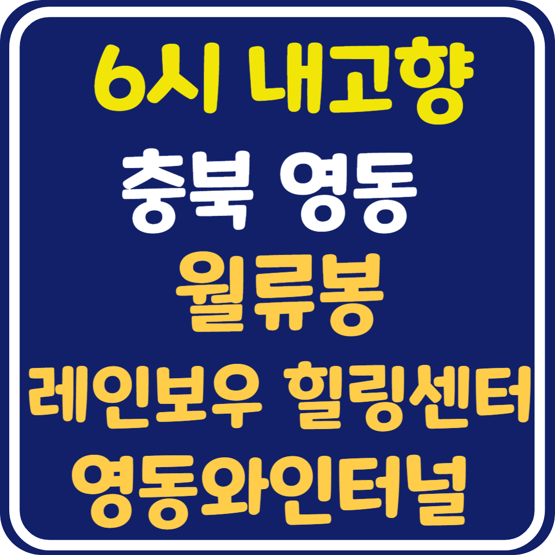 6시 내고향 영동 월류봉, 레인보우 힐링센터, 영동와인터널 정보 안내