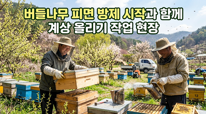 버들나무 피면 방제 시작과 함께 계상 올리기 작업 현장