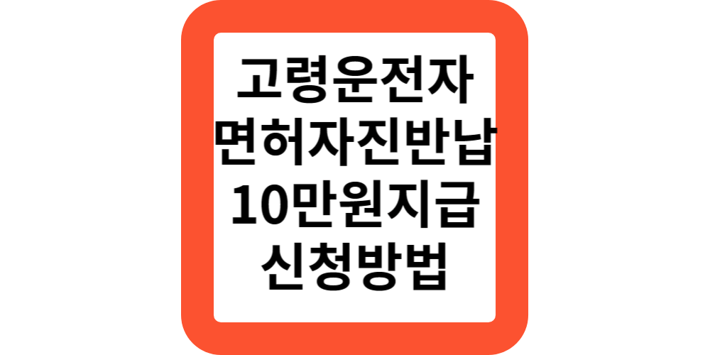 운전면허자진반납-신청방법