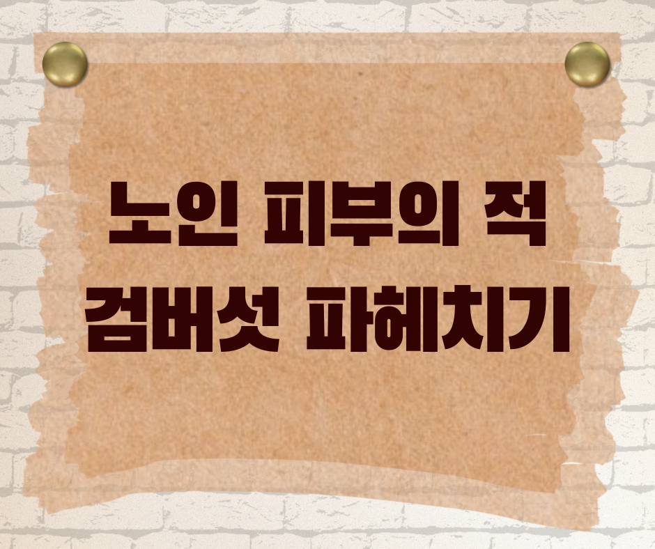 피부 노화와 검버섯의 관계 &ndash; 왜 나이가 들수록 더 많이 생길까?