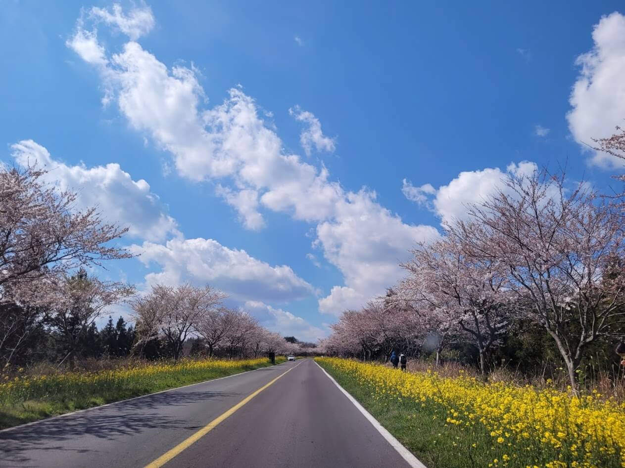 제주도 전기차 충전소 제주도 lpg충전소 제주도 수소차 충전소 제주도 전기 충전소 제주도 가스충전소 제주도 엘피지 충전소 제주도 전기차 무료충전소 제주도 수소 충전소 SK행복충전 제주도개인택시조합LPG충전소 블루렌트카 제주도 전기차충전소 제주도 광역폐기물 소각시설 전기차충전소 제주도한달살기 전기차충전소 제주도그릴 전기차충전소 제주도교육청 전기차충전소 전기차 제주도 충전소 제주도 lpg 충전소 제주도 전기차 충전소 현황 제주도 전기차 충전소 어플 제주도 lpg 충전소 가격 제주도 전기차 충전소 요금