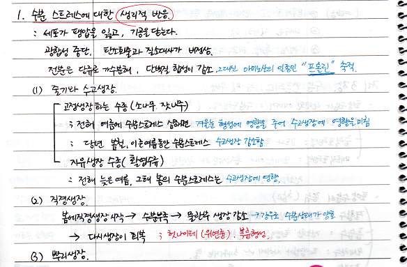 수분스트레스에 대한 생리적 반응