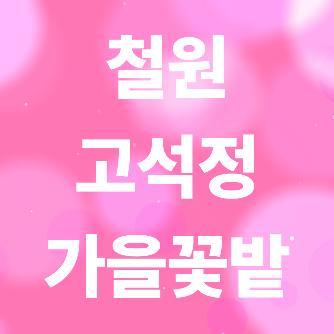 철원 고석정 꽃밭 가을 여행지 추천