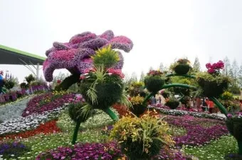 고양 꽃박람회 입장료 사전예약 가는길_21