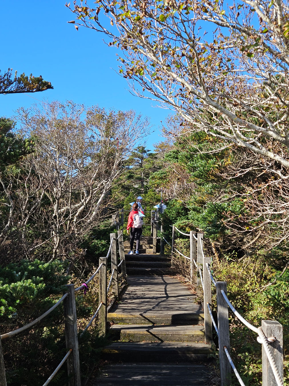 한라산 탐방로