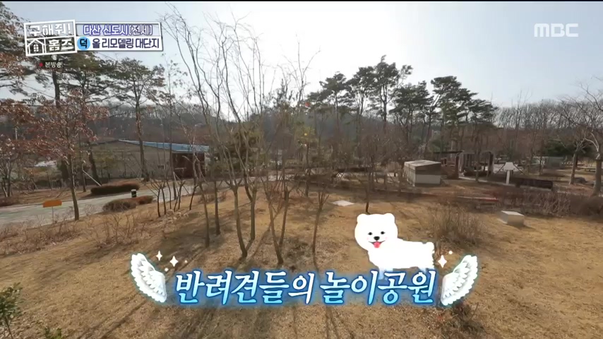 구해줘홈즈 1층집 바이브 동물병원 인접 남양주 다산동 전세 매매 매물 가격 및 구조 인테리어 리모델링 최종선택 강재준 양세찬 소개