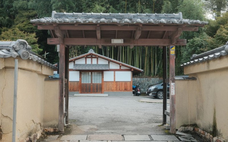 전남 담양 – 죽녹원 입장료와 8개 산책 코스·메타세쿼이아길 연계 팁 정