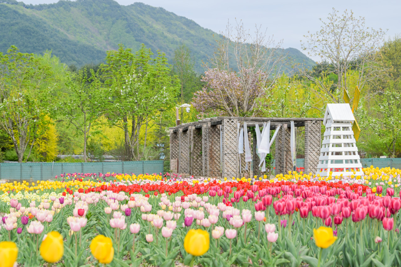 국립백두대간수목원