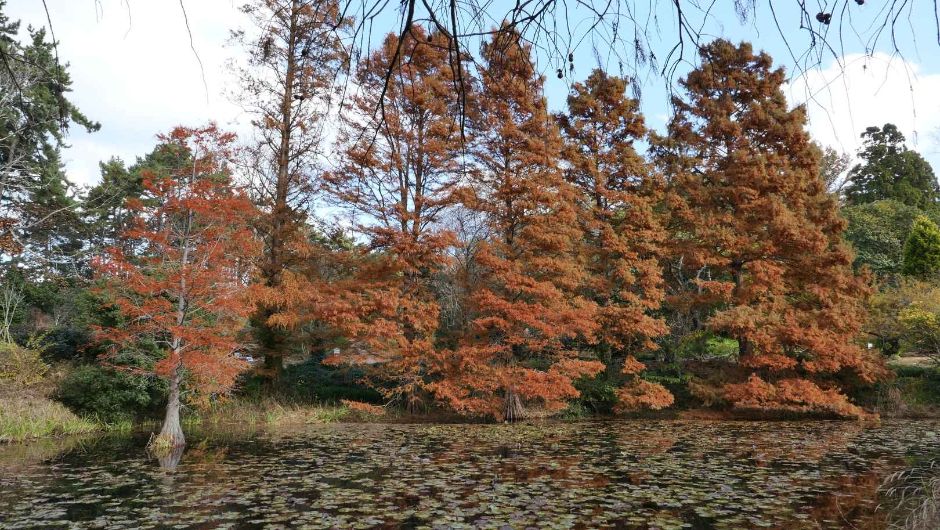 10월 지역 축제 충남 충북 가을 축제 정보