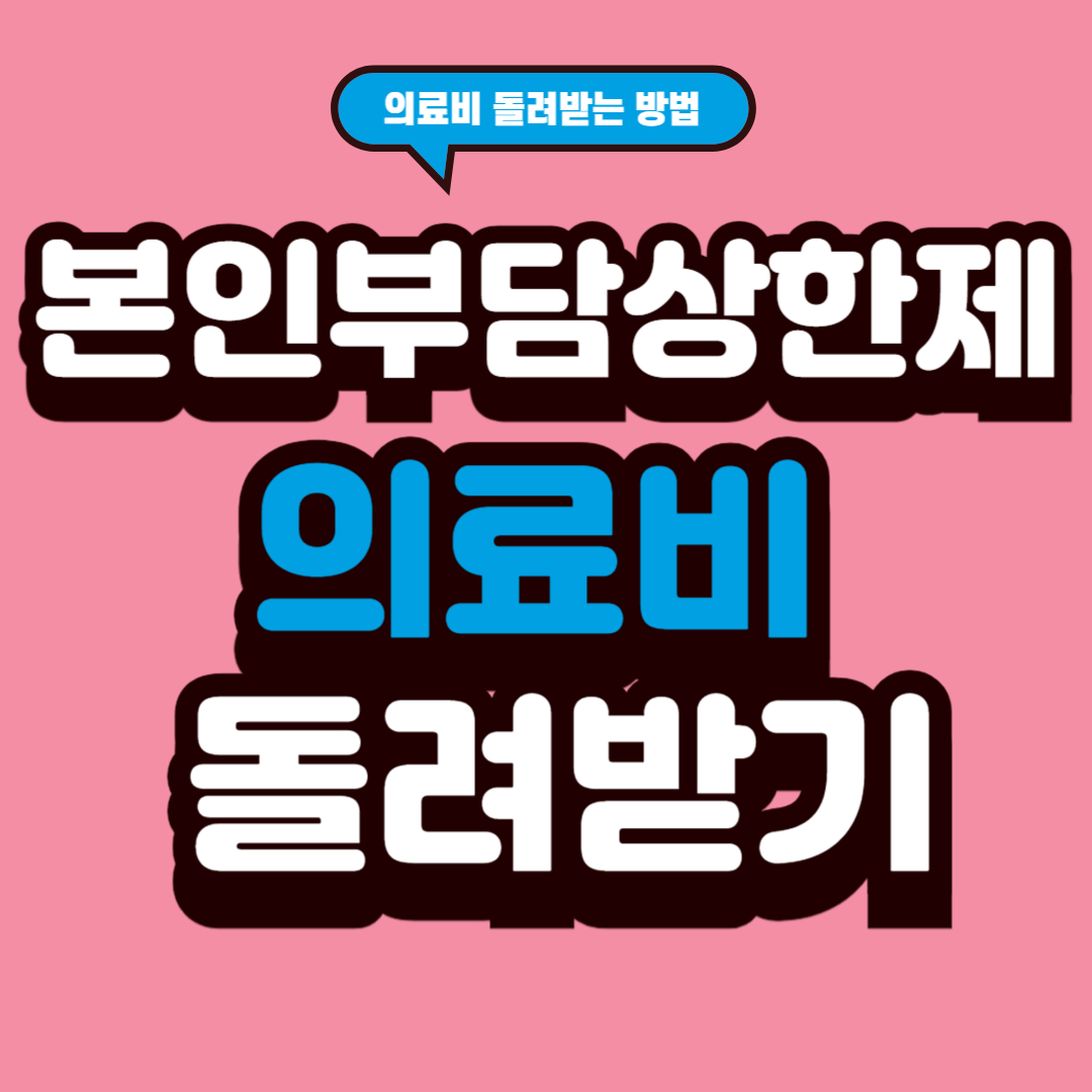 본인부담상한제 의료비 돌려받기