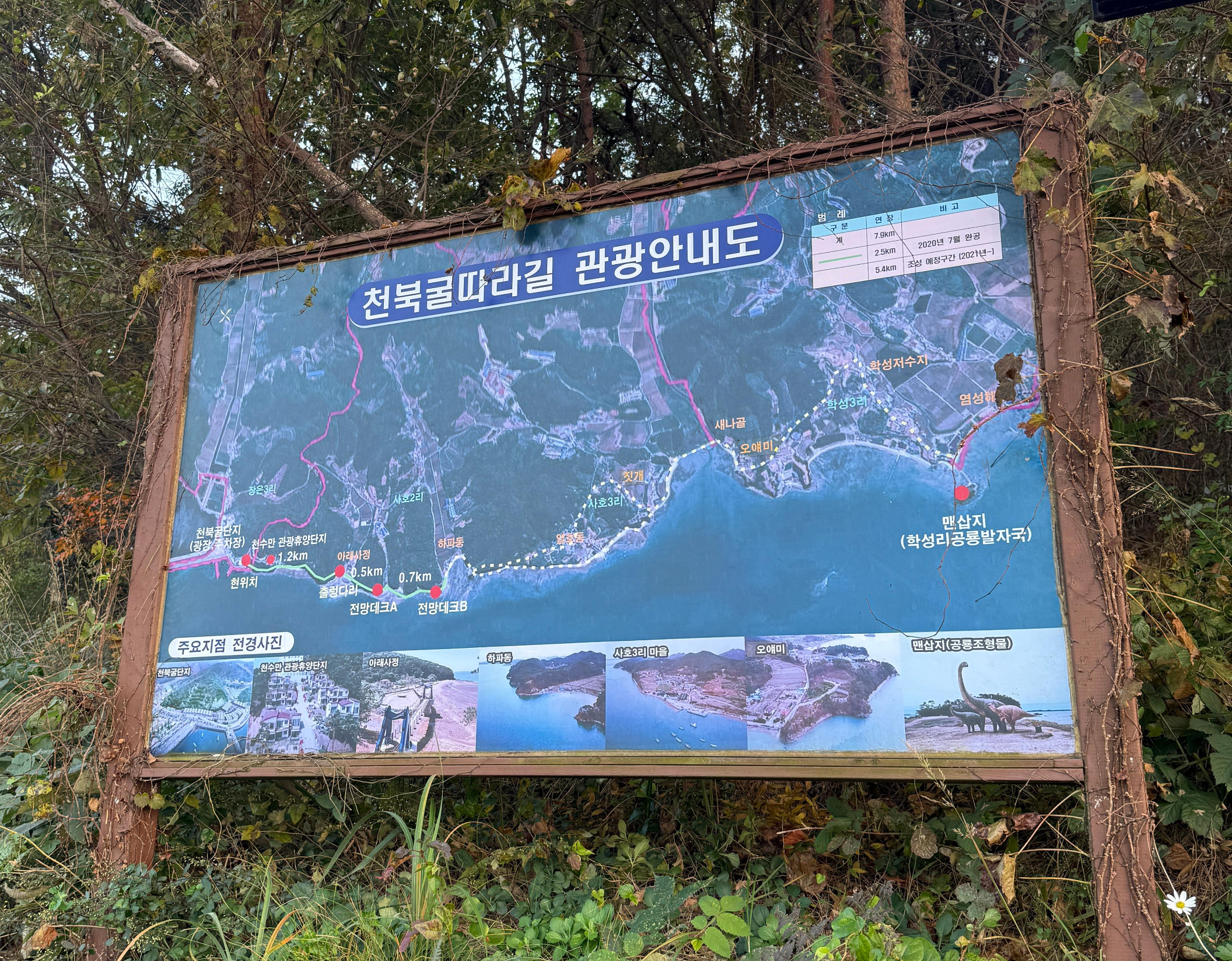 천북굴단지 주위 풍경