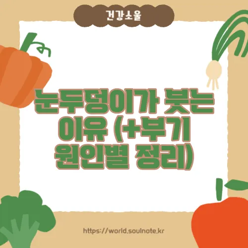 눈두덩이가 붓는 이유 (+부기 원인별 정리)