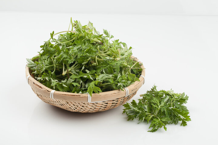 인진쑥 효능, 부작용 등 알아보기