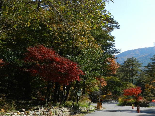 산음자연휴양림 풍경