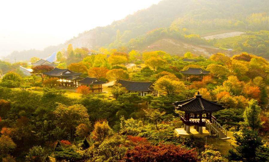 제천시 경제활력지원금 20만원 신청방법