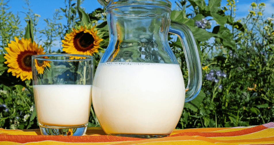 우유 사진 - 1251