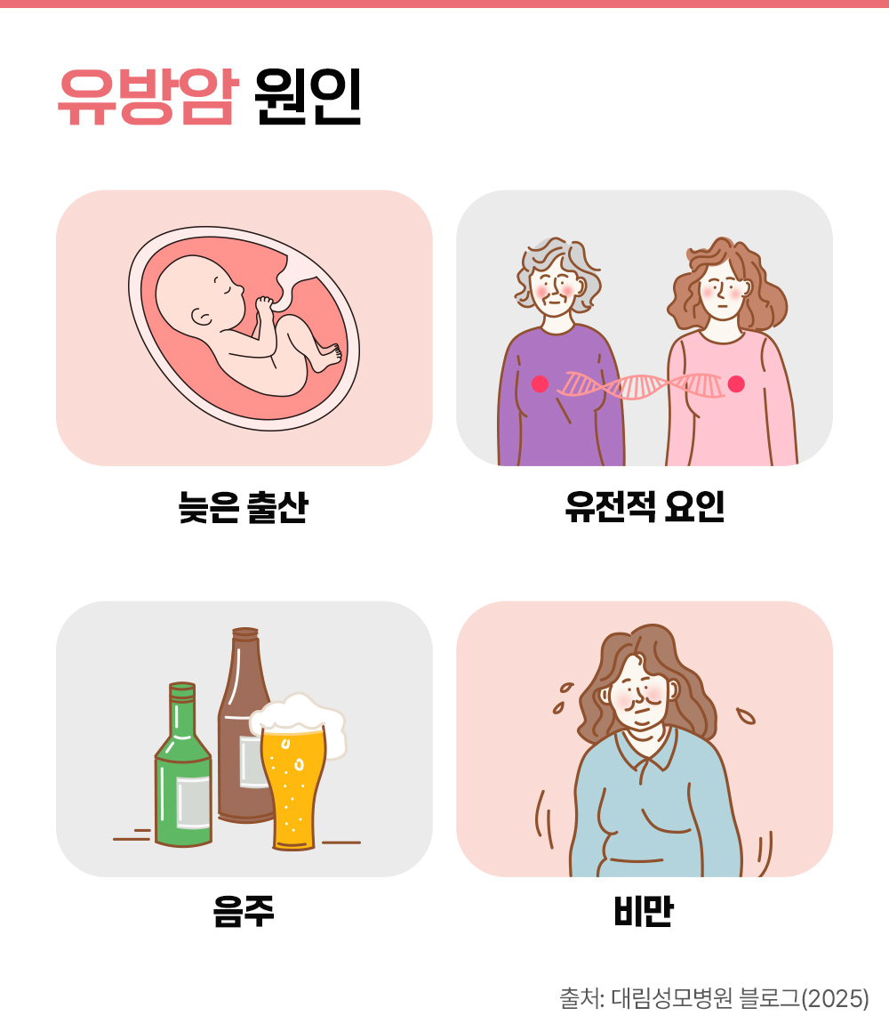 #유방암 원인 늦은 출산 유전적 요인 음주 비만
