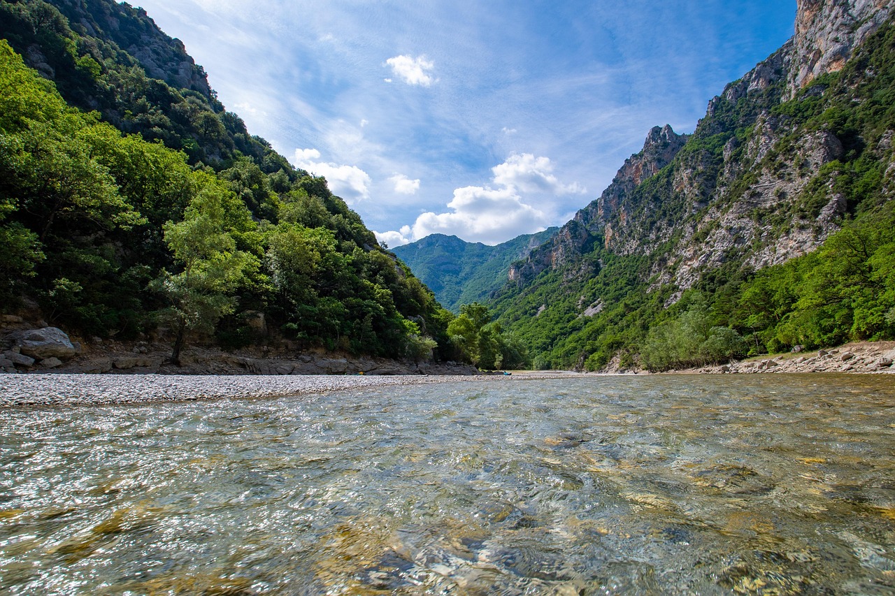 결정 이후 계속 시뮬레이션을 돌리는 사람의 뇌 구조