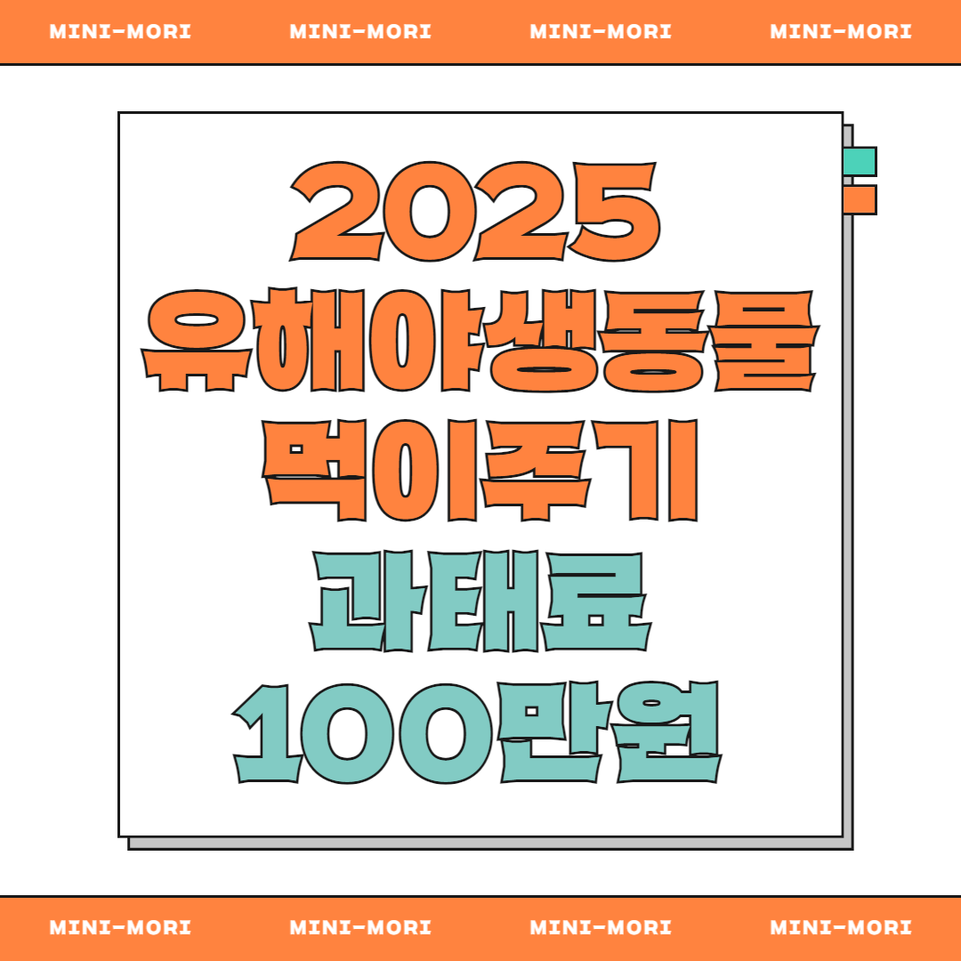 야생물동 먹이주기 금지