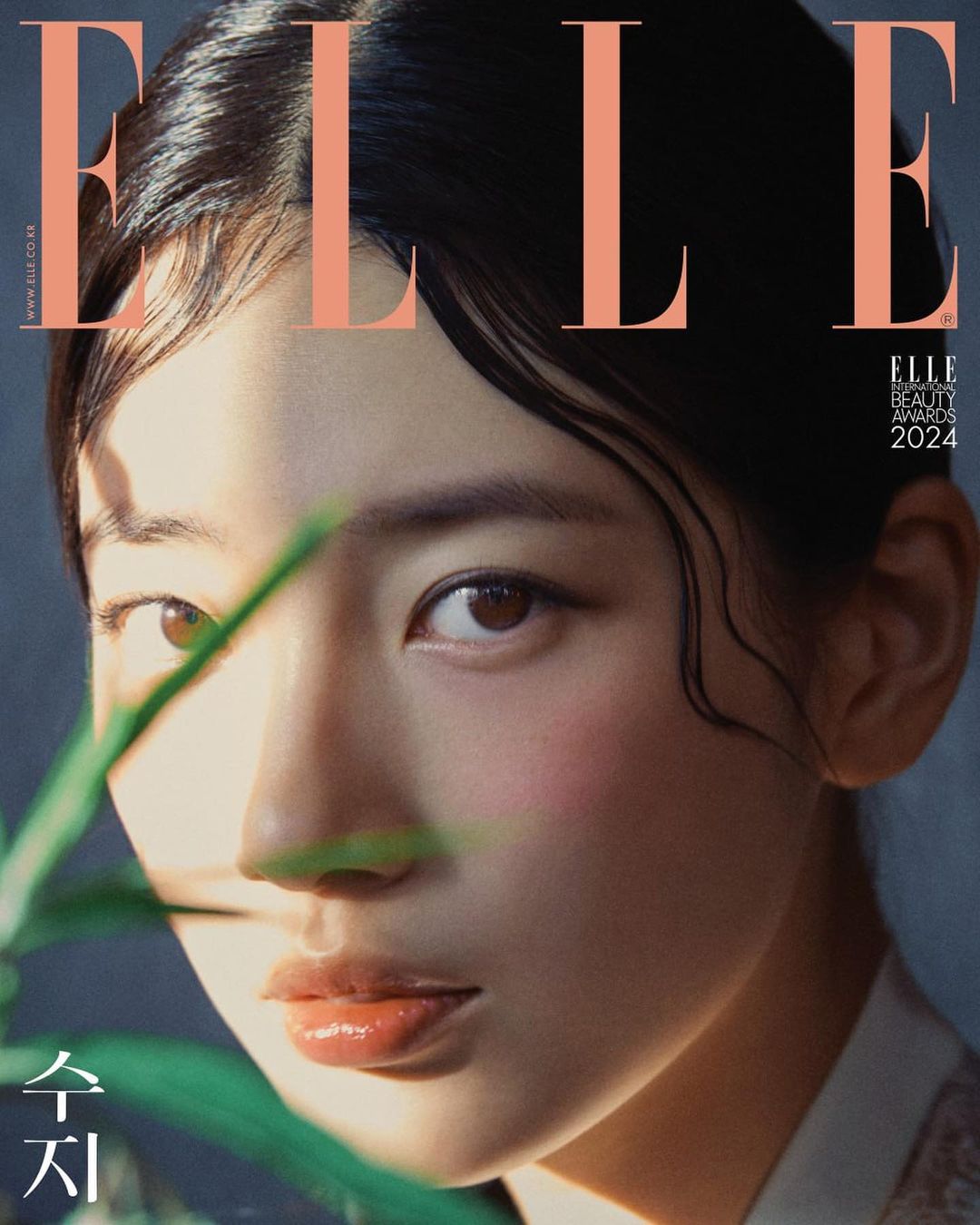 수지