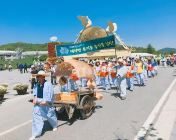담양 대나무축제_16