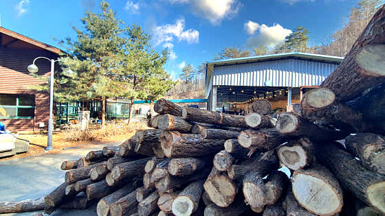 생생정보 양평 솥뚜껑닭볶음탕