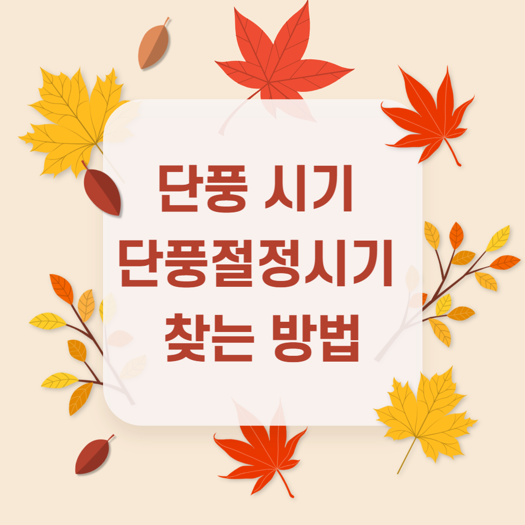 단풍시기 단풍절정시기 찾기